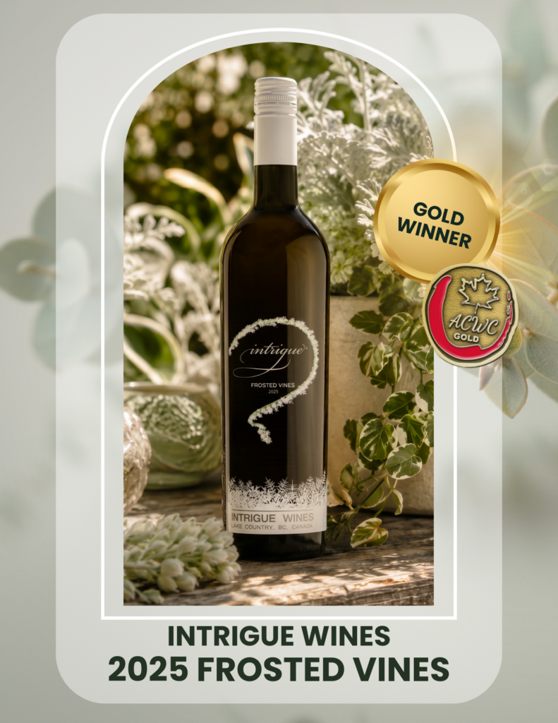 Bottle of Intrigue Wines Frosted Vines, a Gold Medal-winning white blend made from Kerner, Ehrenfelser, and Riesling in the Okanagan Valley.